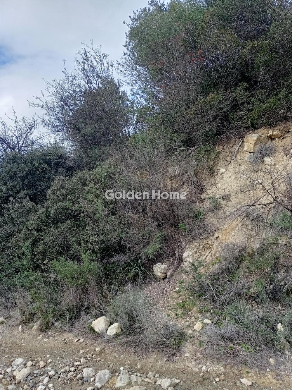 Parcel in Vathipetro, Archanes — Photo 8 of 10