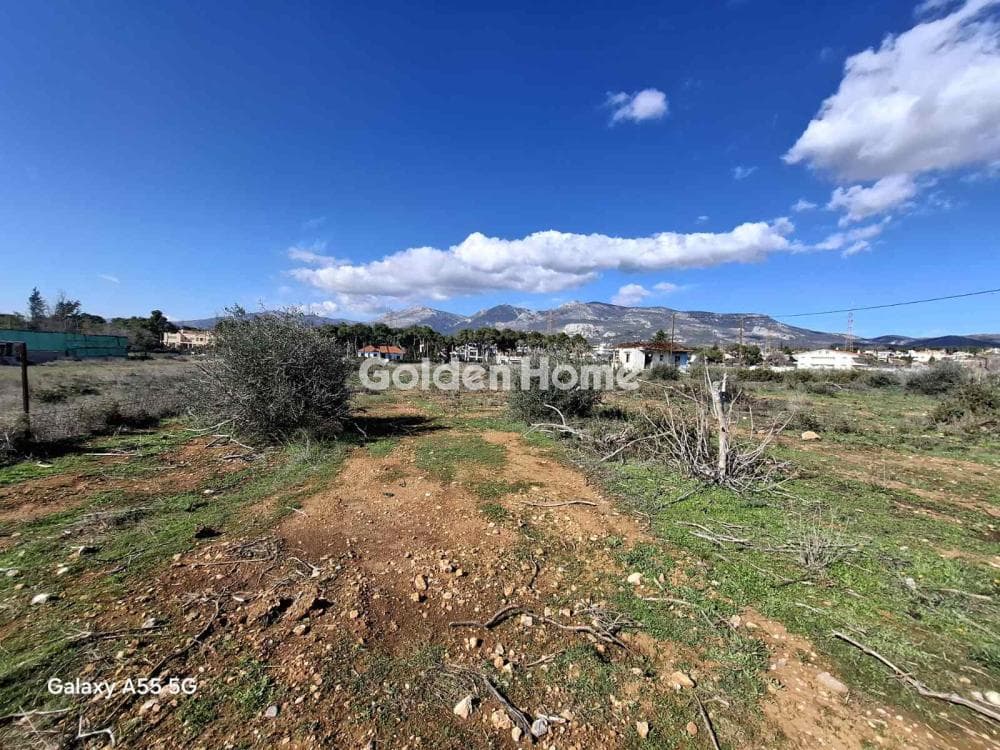 Building Plot in Megala Sxoinia A, Acharnes — Photo 2 of 3