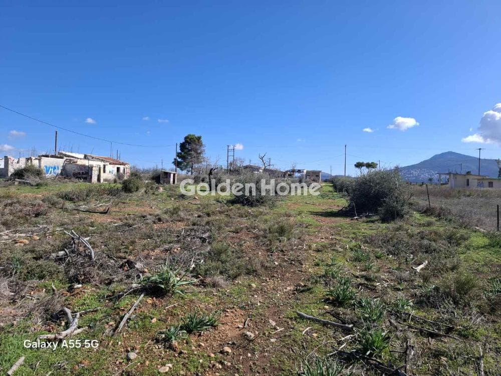 Building Plot in Megala Sxoinia A, Acharnes — Photo 3 of 3