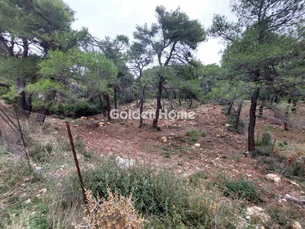Οικόπεδο στην Αγία Τριάδα, Αφίδνες — Φωτογραφία 1 από 3