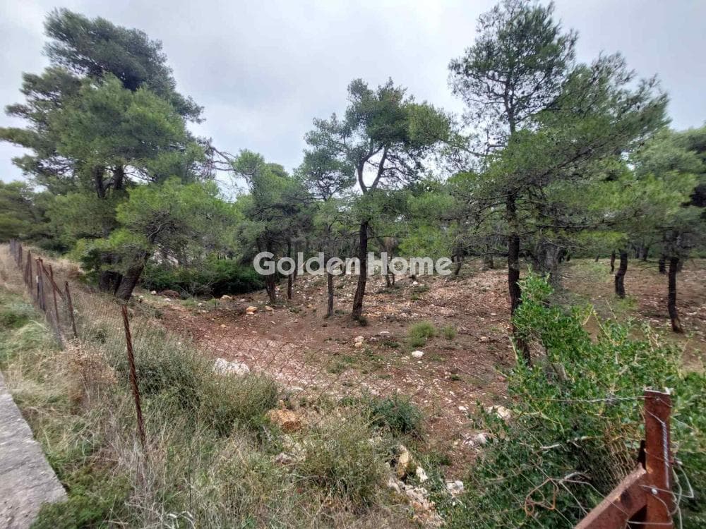 Οικόπεδο στην Αγία Τριάδα, Αφίδνες — Φωτογραφία 2 από 3