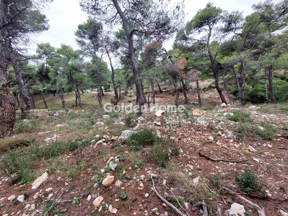 Οικόπεδο στην Αγία Τριάδα, Αφίδνες — Φωτογραφία 3 από 3