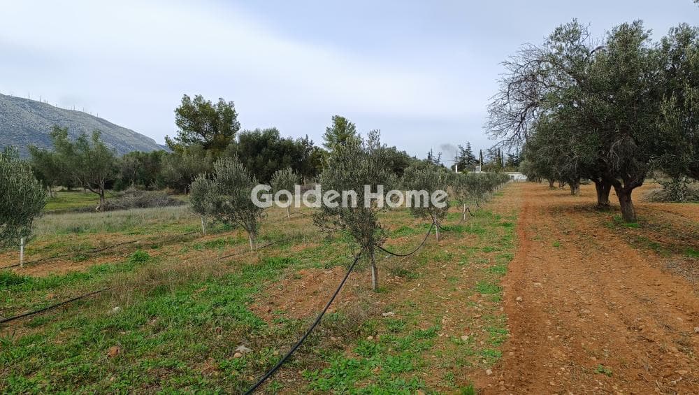 Parcel in Center, Koropi — Photo 2 of 7