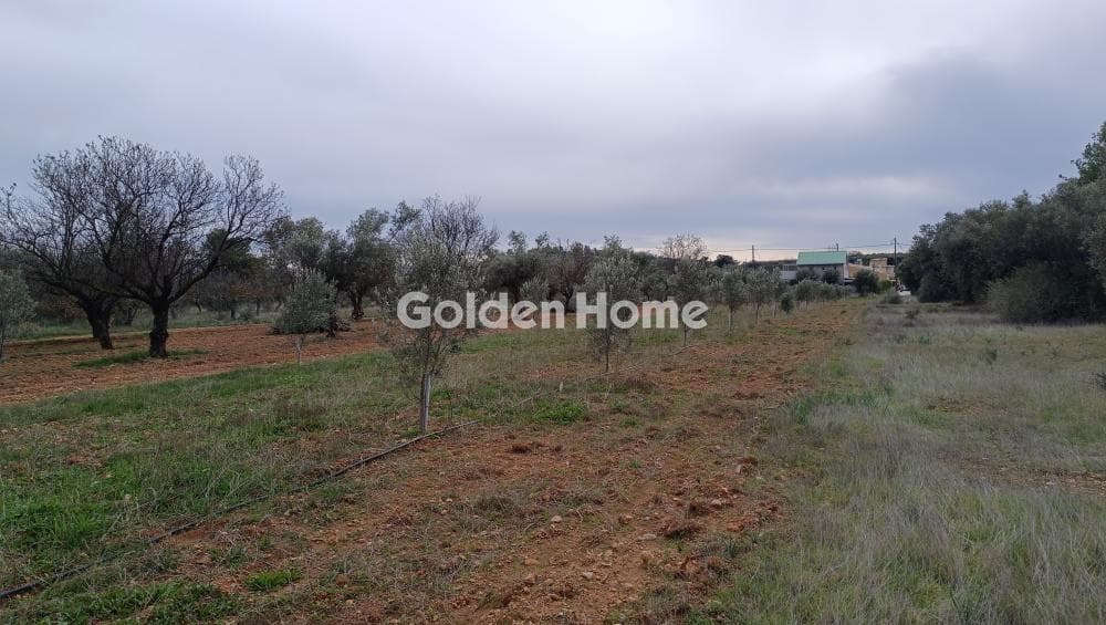 Parcel in Center, Koropi — Photo 3 of 7
