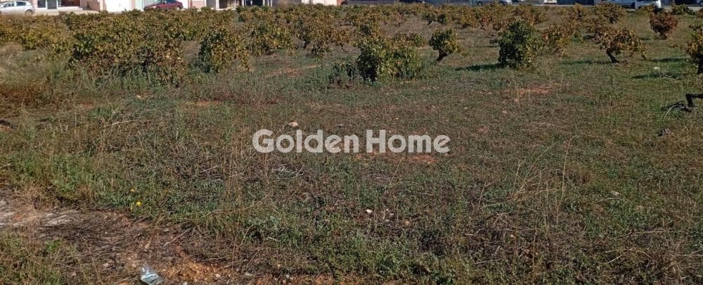 Building Plot in Center, Koropi — Photo 1 of 4