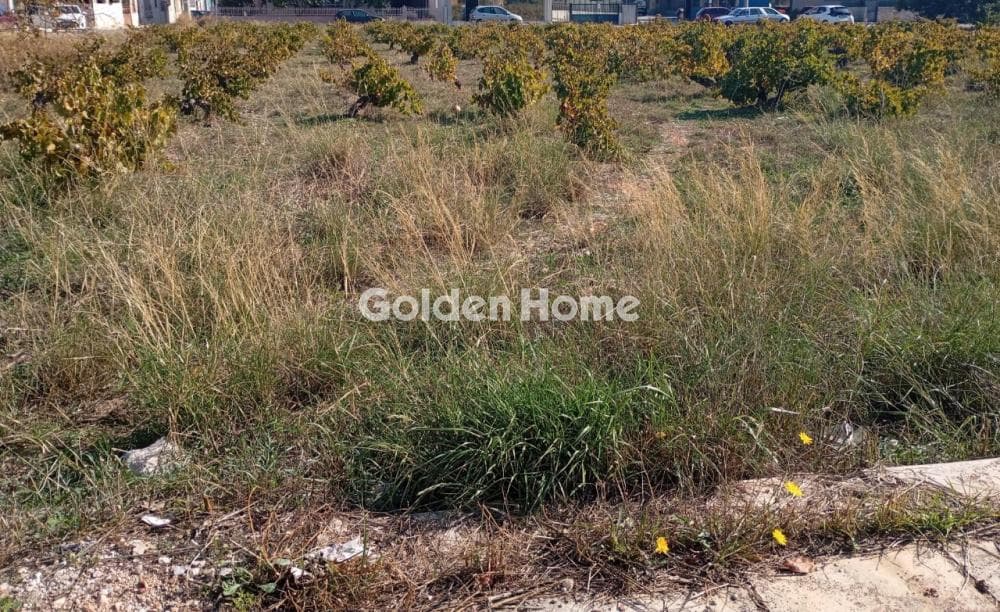 Building Plot in Center, Koropi — Photo 3 of 4