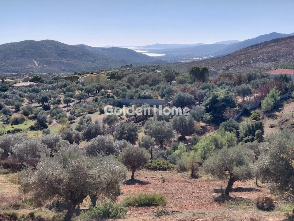 Οικόπεδο στην Γραμματικό - Κέντρο, Γραμματικό — Φωτογραφία 1 από 4