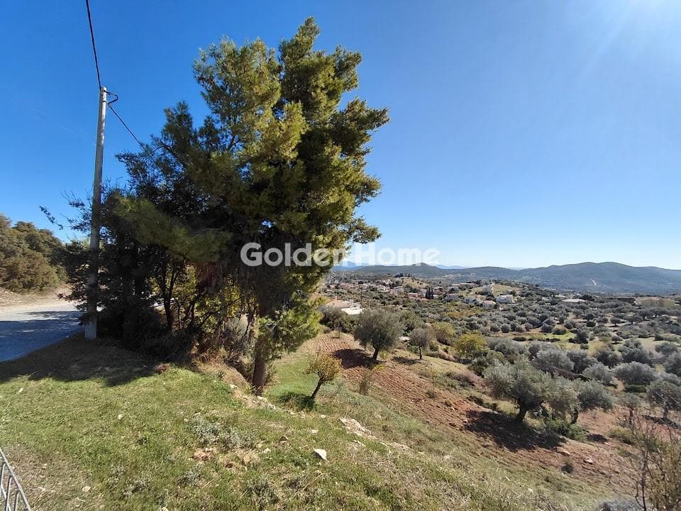Οικόπεδο στην Γραμματικό - Κέντρο, Γραμματικό — Φωτογραφία 2 από 4