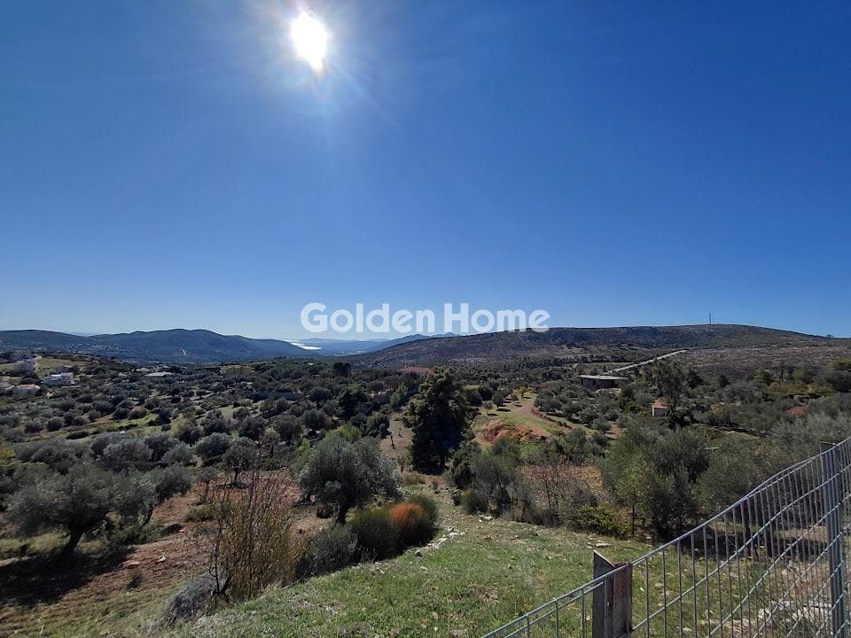 Οικόπεδο στην Γραμματικό - Κέντρο, Γραμματικό — Φωτογραφία 3 από 4