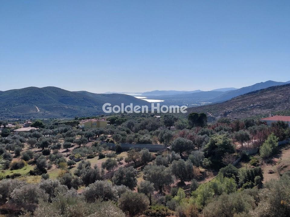Οικόπεδο στην Γραμματικό - Κέντρο, Γραμματικό — Φωτογραφία 4 από 4