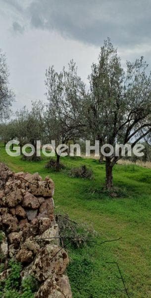 Αγροτεμάχιο στην Δριτσαίικα, Μέθανα