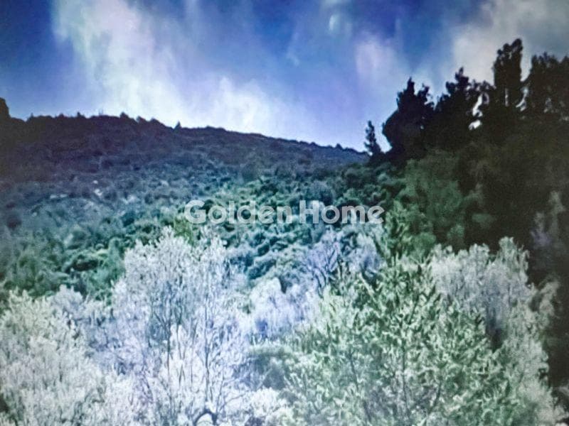 Αγροτεμάχιο στην Δριτσαίικα, Μέθανα — Φωτογραφία 1 από 2