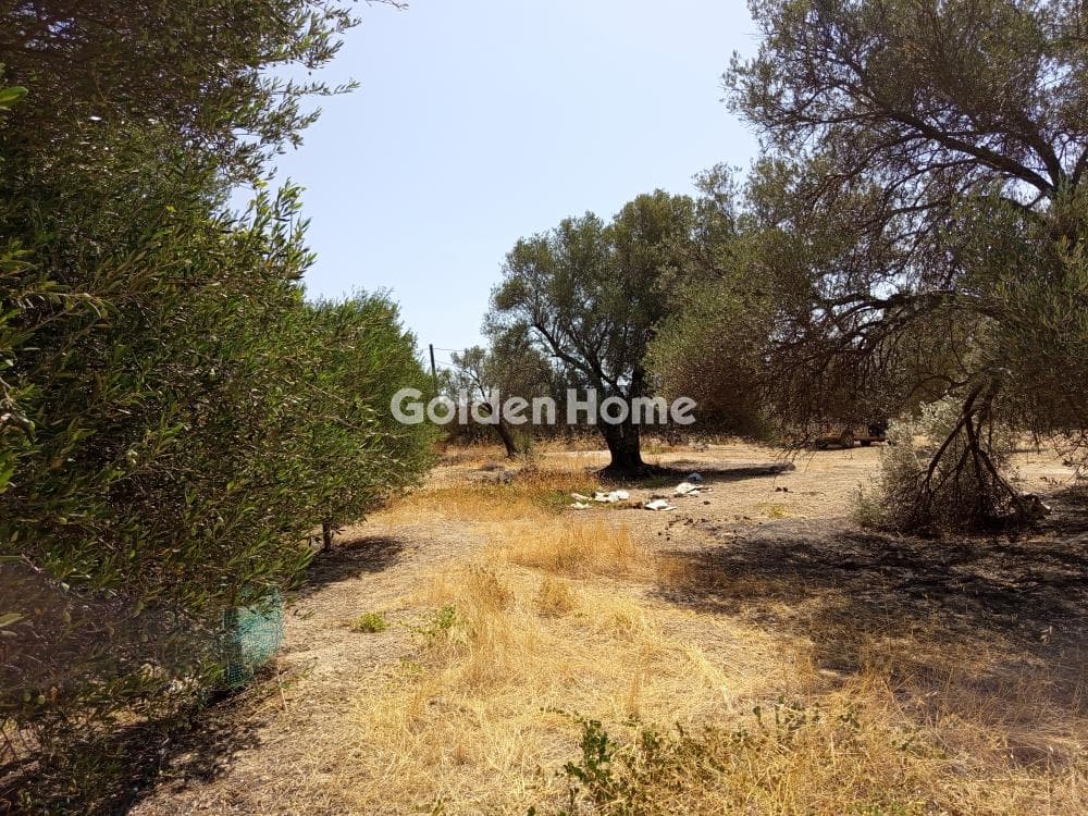 Parcel in Meleses, Archanes — Photo 2 of 3