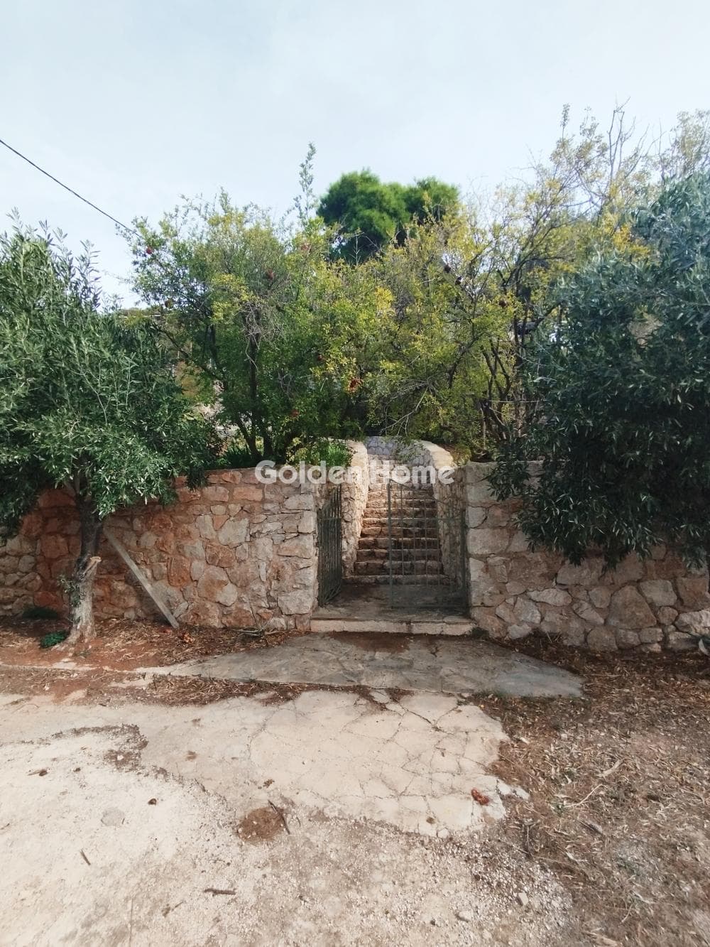 Αγροτεμάχιο στην Ελαιώνας, Ανάβυσσος — Φωτογραφία 2 από 3
