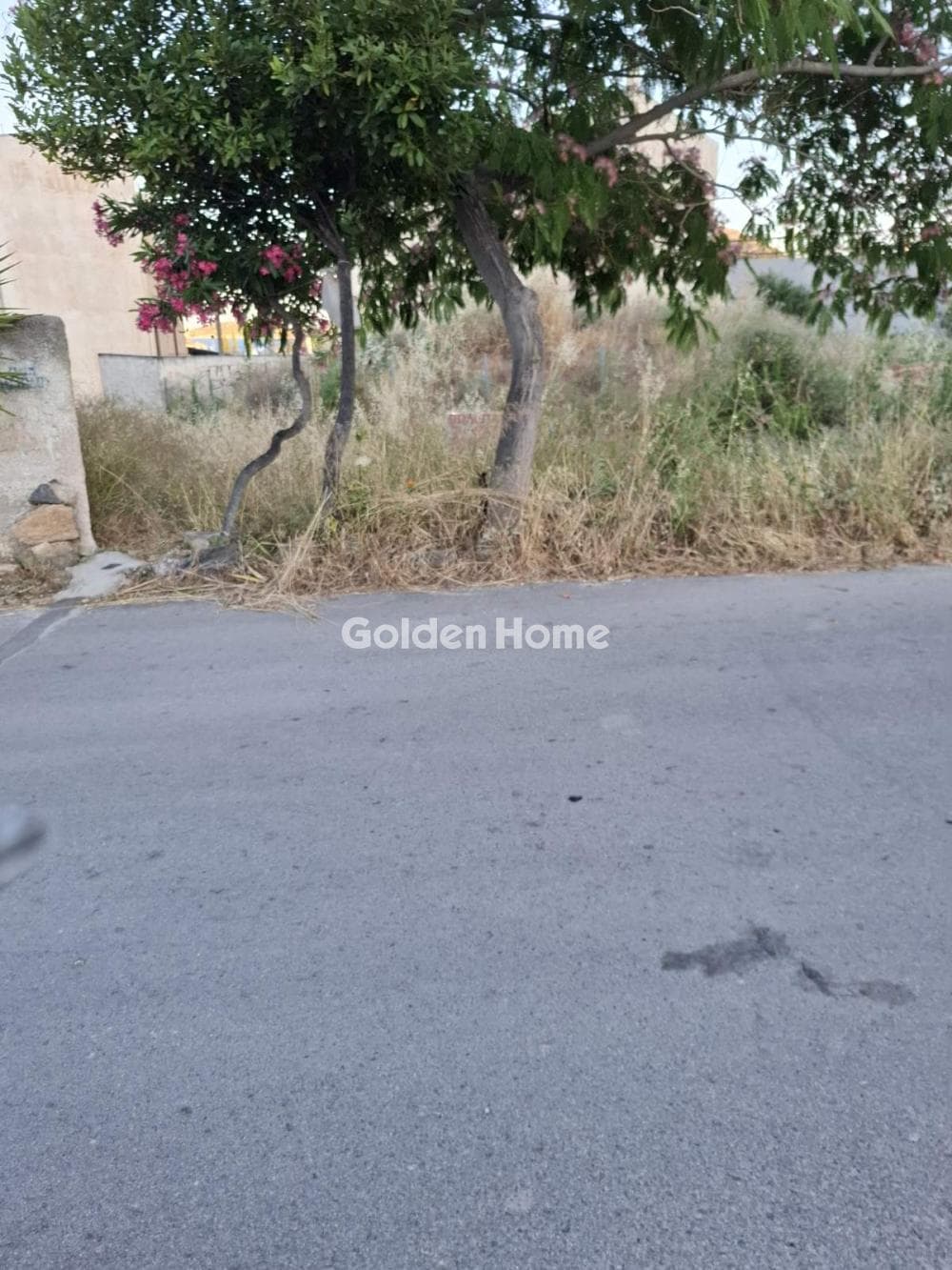 Οικόπεδο στην Βορινέζα, Αρτέμιδα (Λούτσα) — Φωτογραφία 3 από 5