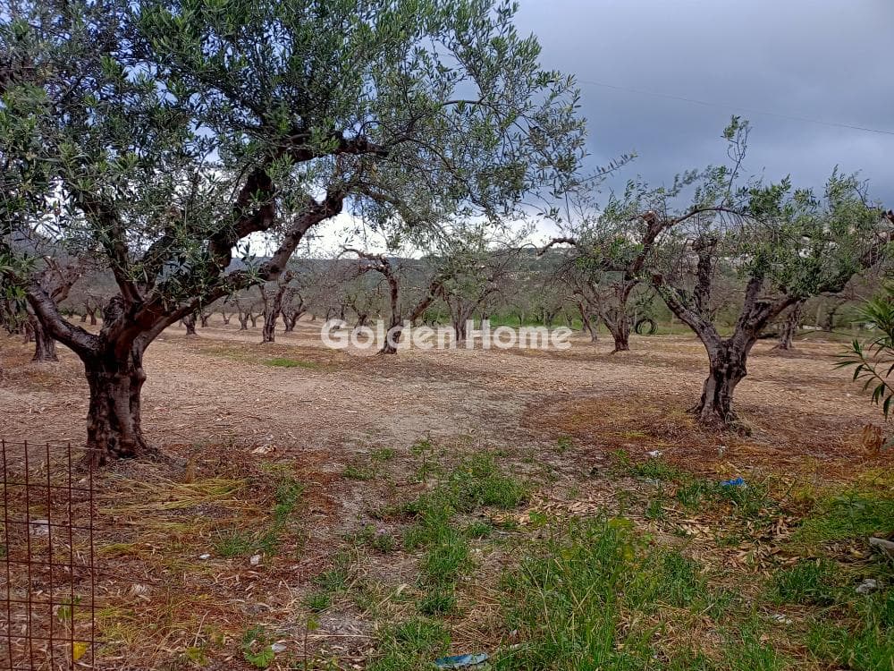 Building Plot in Kouses, Moires — Photo 1 of 3