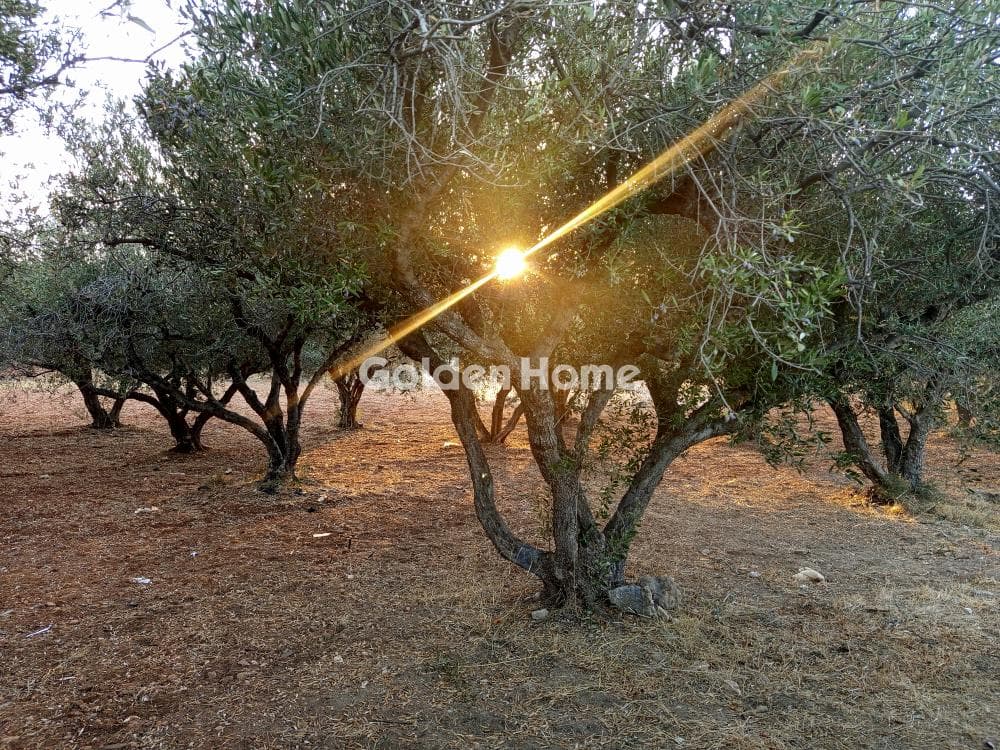 Building Plot in Kouses, Moires — Photo 1 of 2
