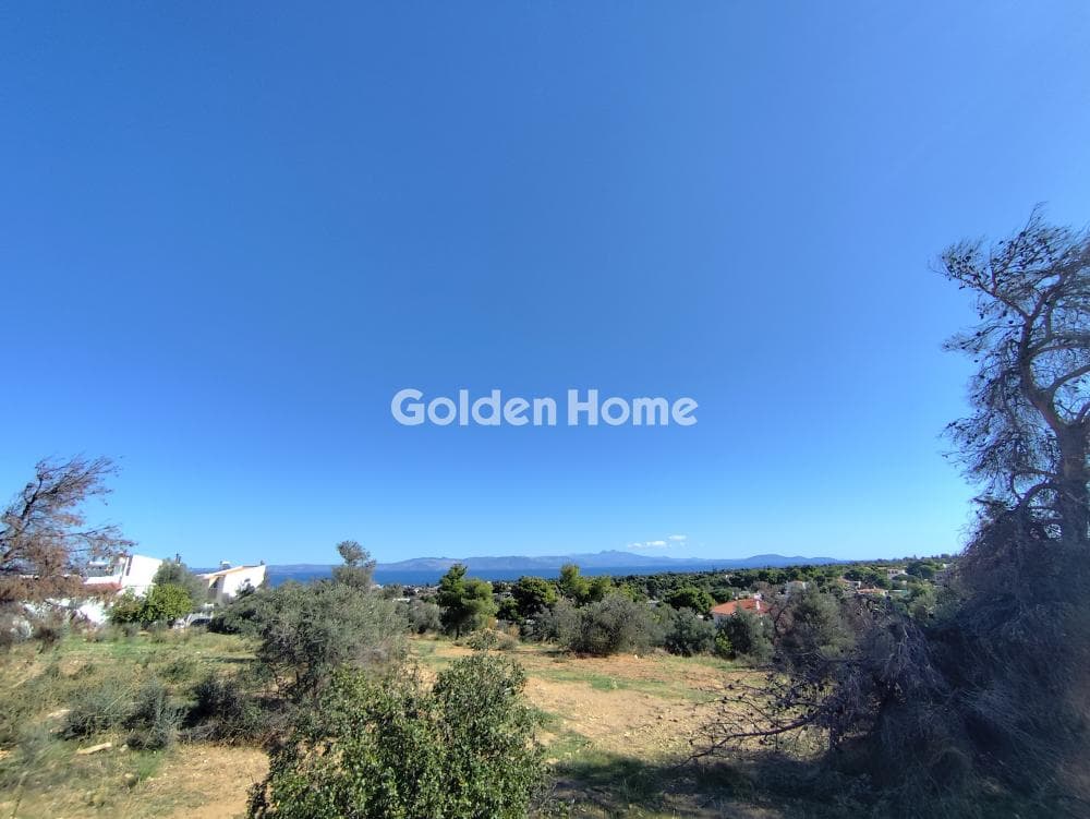 Οικόπεδο στην Νέο Λιβύσσι, Νέα Μάκρη — Φωτογραφία 1 από 8