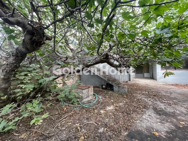 Building Plot in Neapoli, Spata — Photo 10 of 16