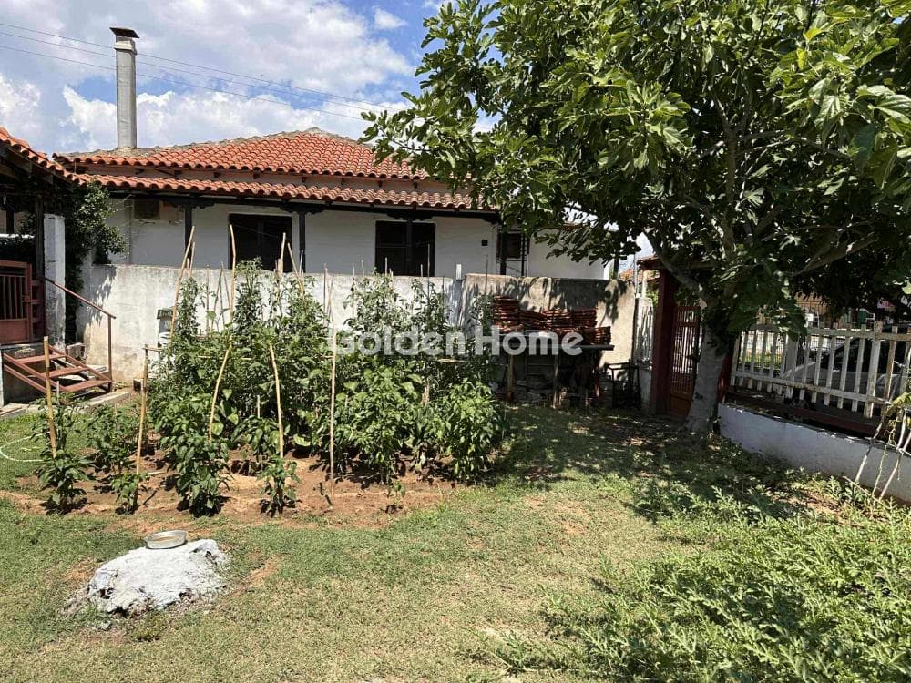 House in Paralia Neas Triglias, Triglia — Photo 4 of 22