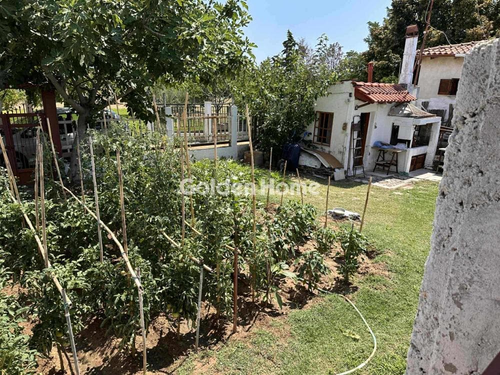 House in Paralia Neas Triglias, Triglia — Photo 6 of 22
