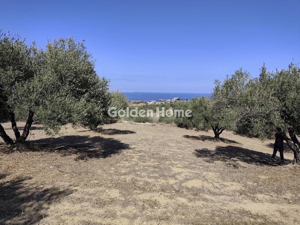 Building Plot in Kato Vatheia, Episkopi — Photo 2 of 2