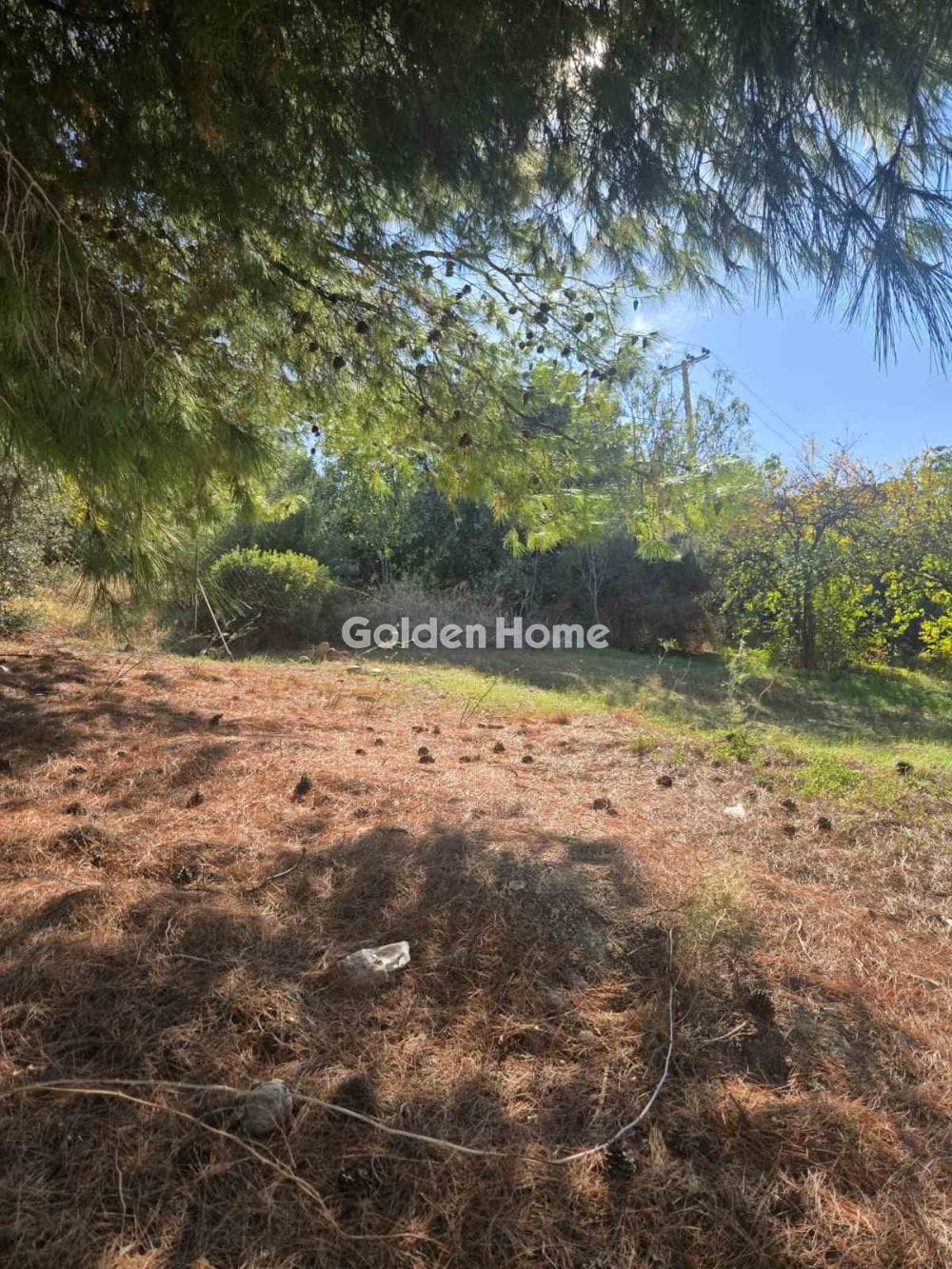 Building Plot in Neapoli, Spata — Photo 2 of 2