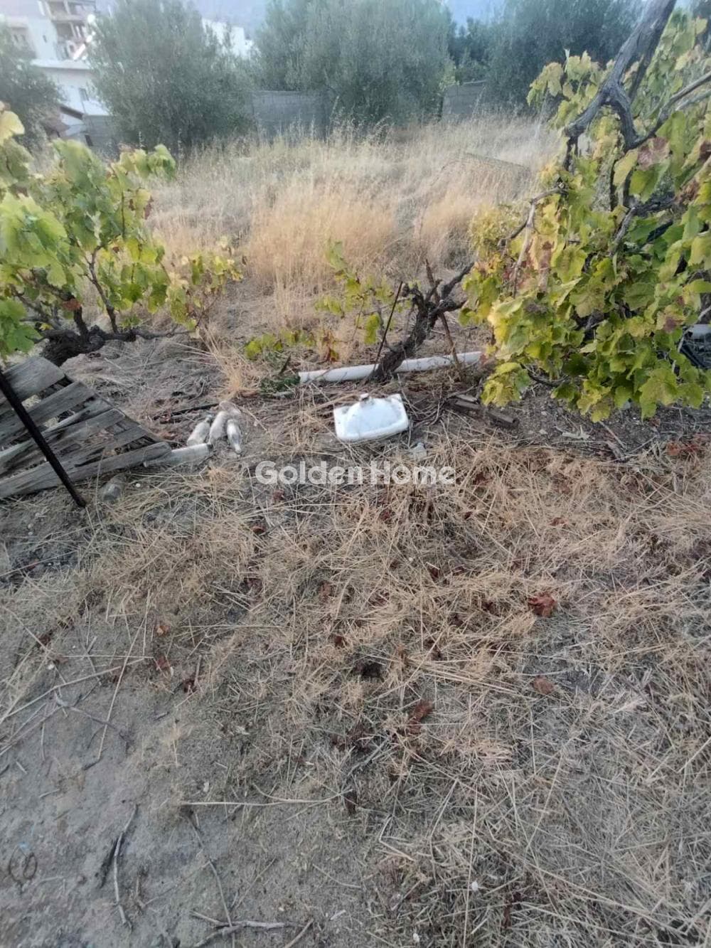 Building Plot in Rodia, Gazi — Photo 1 of 3