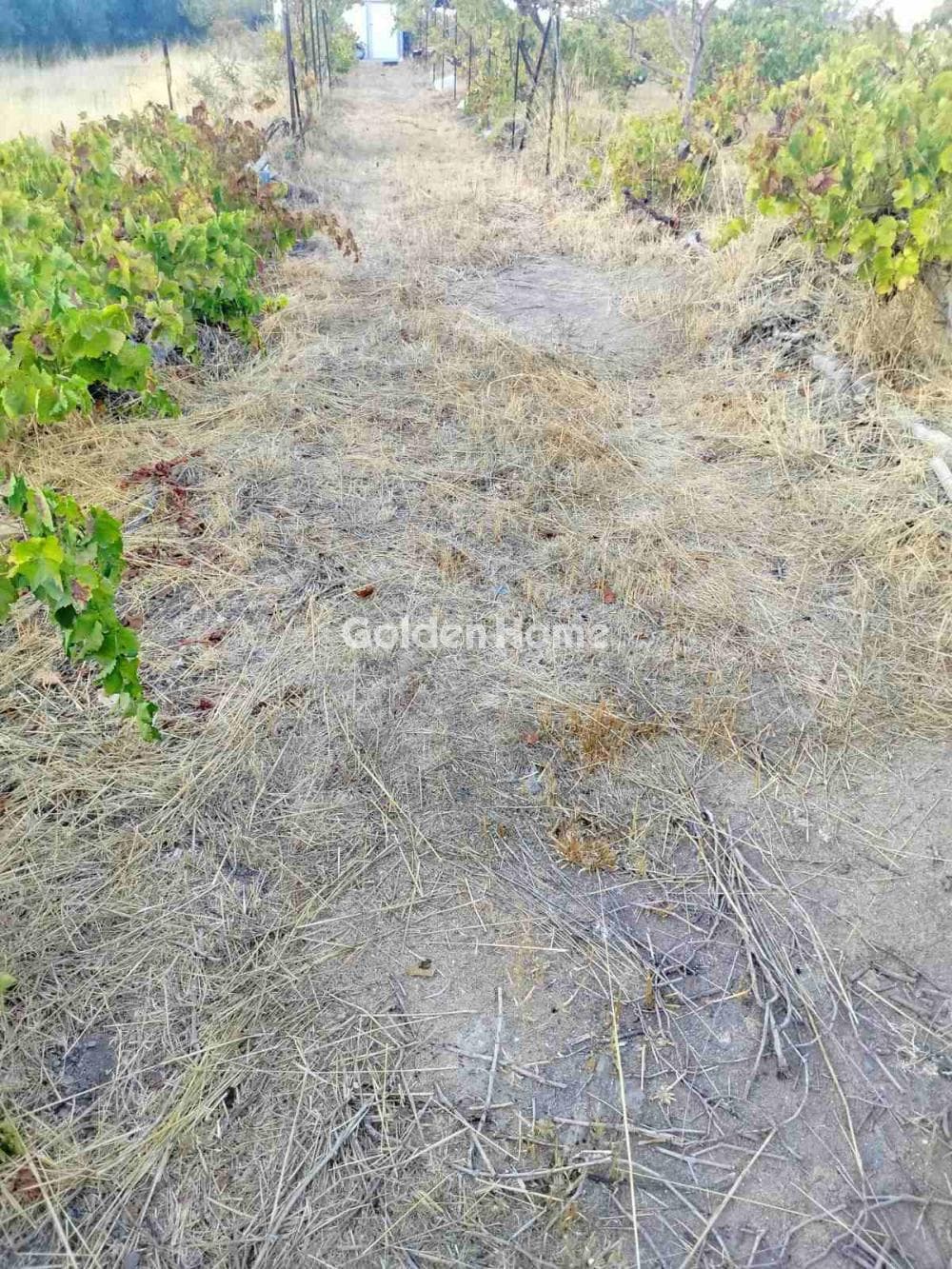 Building Plot in Rodia, Gazi — Photo 2 of 3