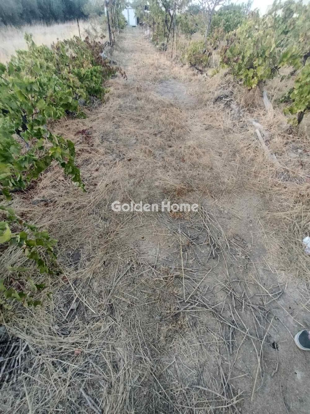 Building Plot in Rodia, Gazi — Photo 3 of 3