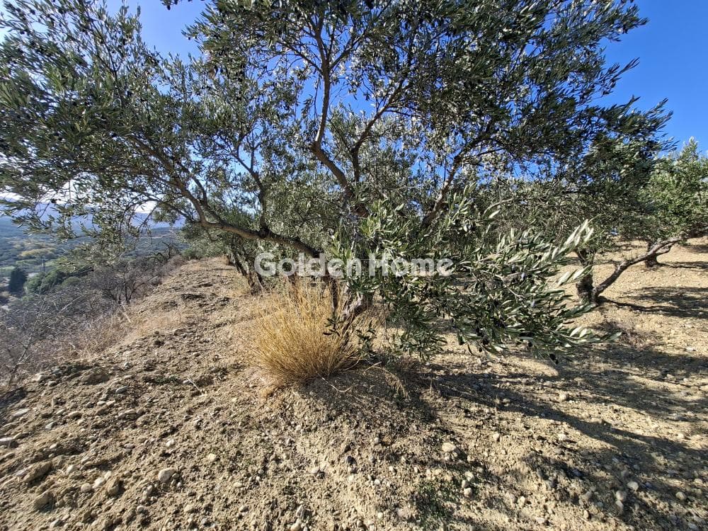 Building Plot in Garipa, Arkalochori — Photo 5 of 31