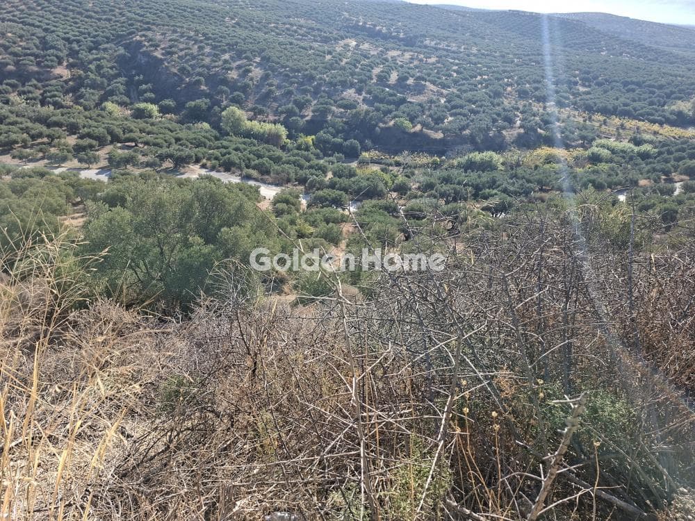 Building Plot in Garipa, Arkalochori — Photo 6 of 31