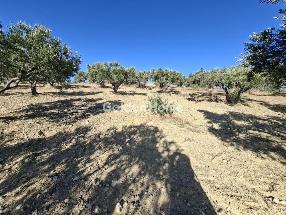 Building Plot in Garipa, Arkalochori — Photo 7 of 31
