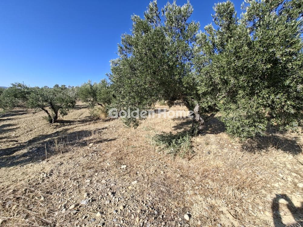 Building Plot in Garipa, Arkalochori — Photo 10 of 31