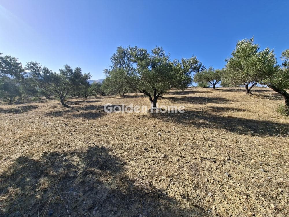Building Plot in Garipa, Arkalochori — Photo 11 of 31