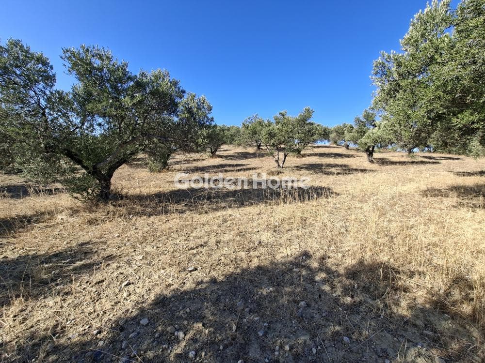 Building Plot in Garipa, Arkalochori — Photo 12 of 31