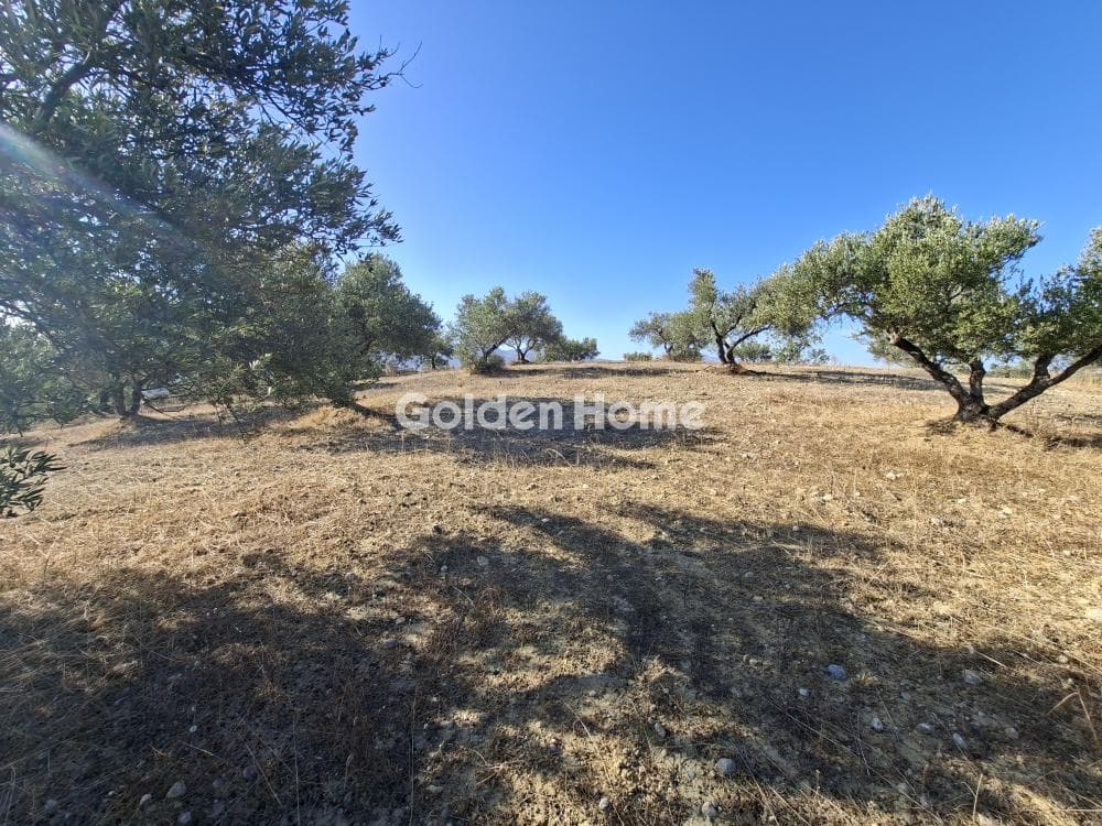 Building Plot in Garipa, Arkalochori — Photo 13 of 31