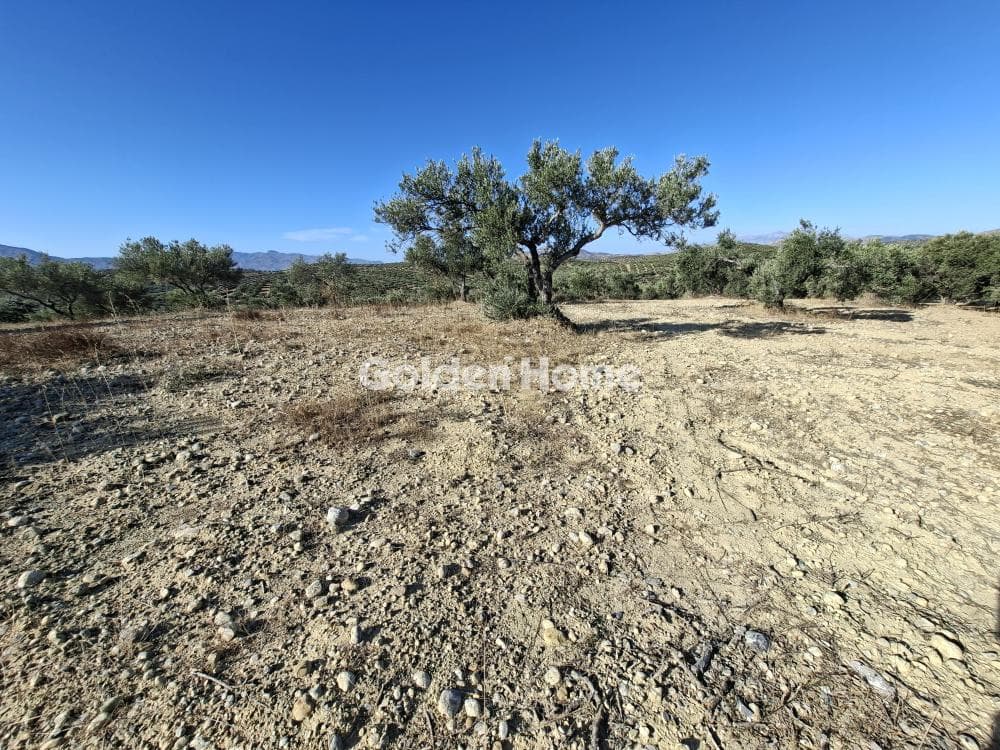 Building Plot in Garipa, Arkalochori — Photo 15 of 31