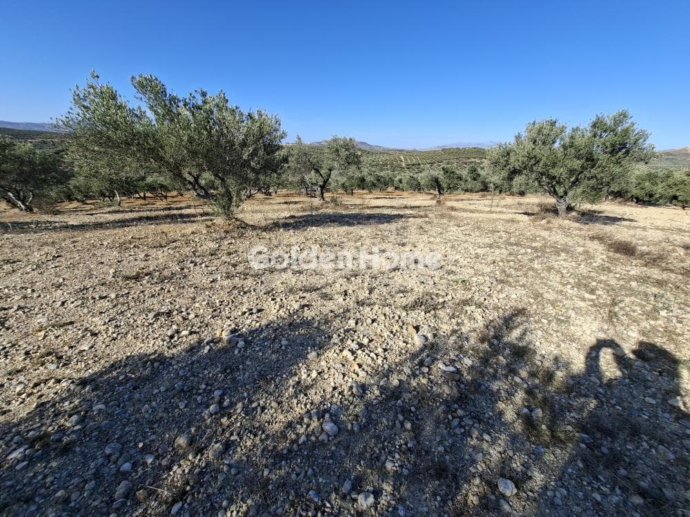 Building Plot in Garipa, Arkalochori — Photo 16 of 31