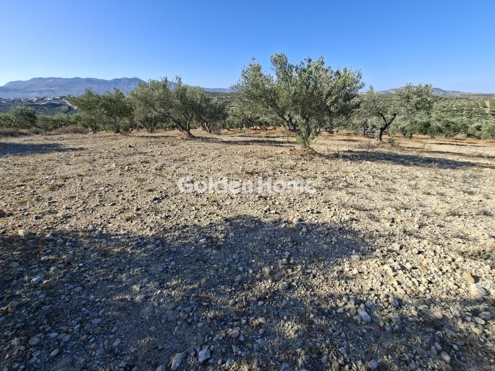Building Plot in Garipa, Arkalochori — Photo 17 of 31