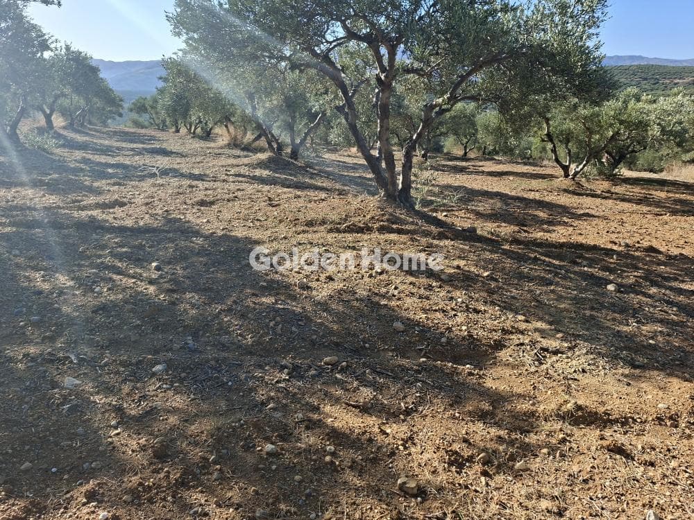 Building Plot in Garipa, Arkalochori — Photo 21 of 31