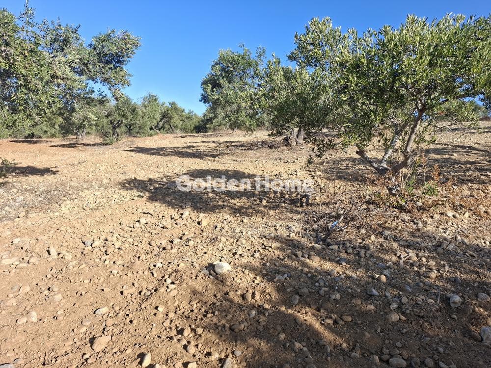 Building Plot in Garipa, Arkalochori — Photo 22 of 31