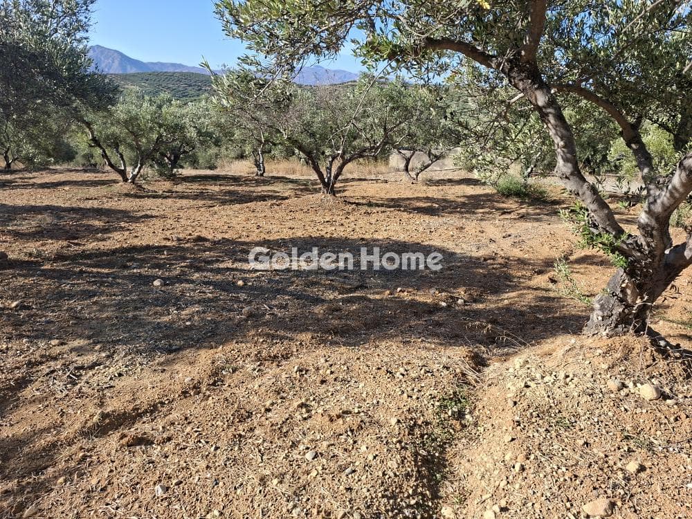 Building Plot in Garipa, Arkalochori — Photo 23 of 31