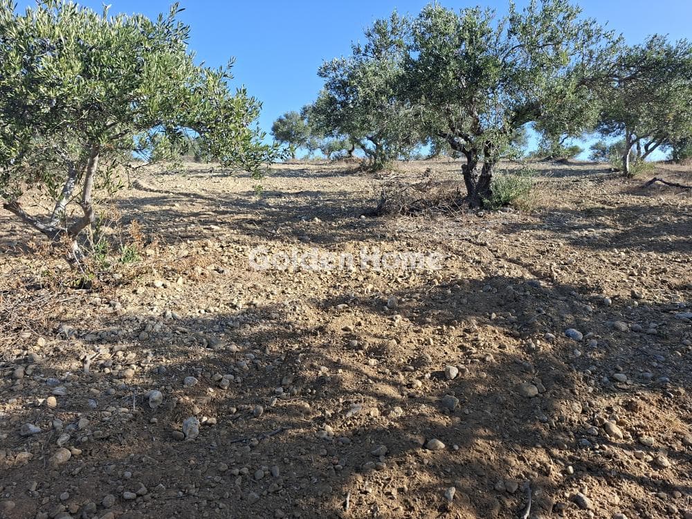 Building Plot in Garipa, Arkalochori — Photo 24 of 31