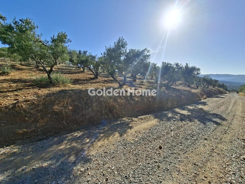 Building Plot in Garipa, Arkalochori — Photo 25 of 31