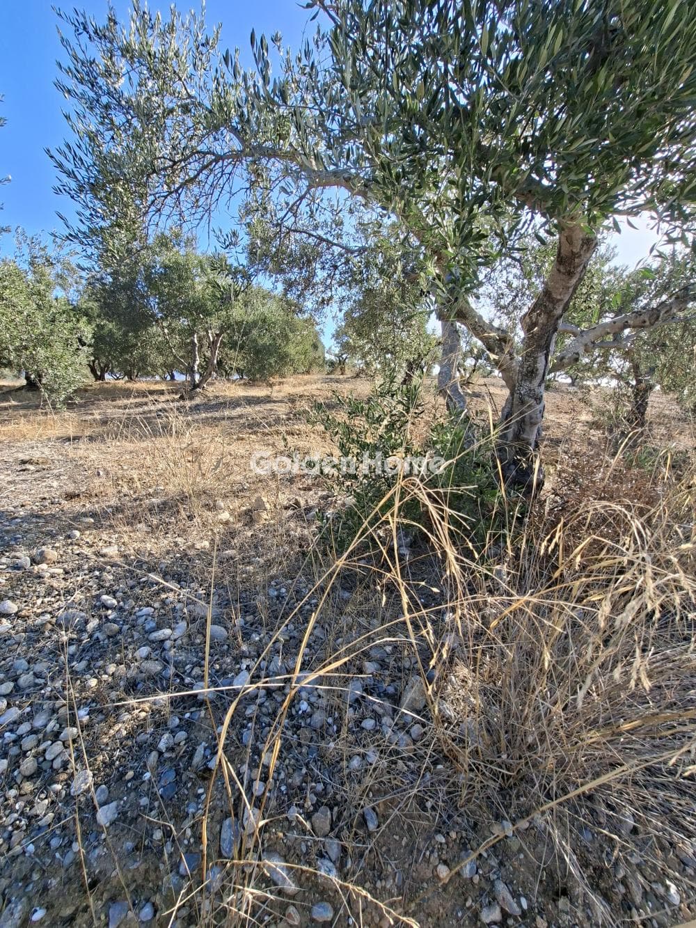 Building Plot in Garipa, Arkalochori — Photo 28 of 31