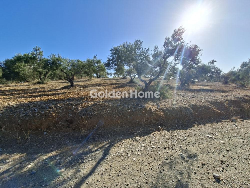 Building Plot in Garipa, Arkalochori — Photo 31 of 31