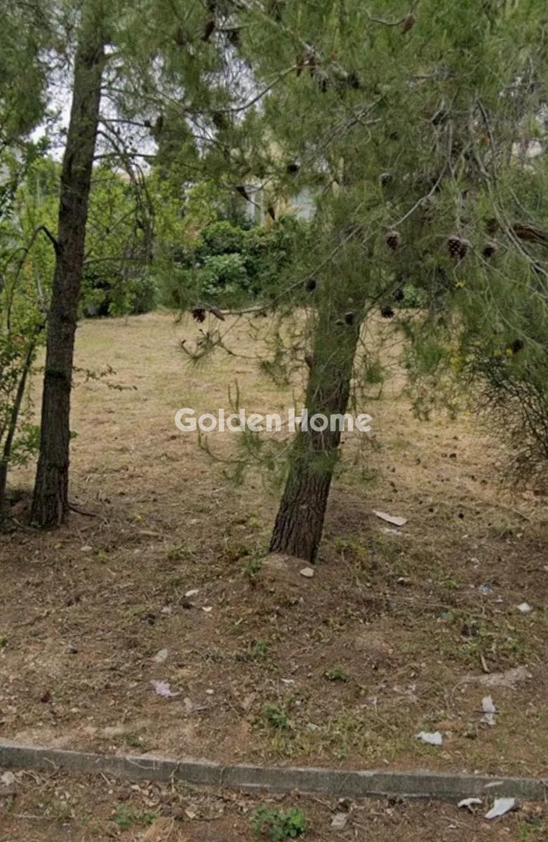 Building Plot in Rodopoli, Rodopoli — Photo 2 of 2