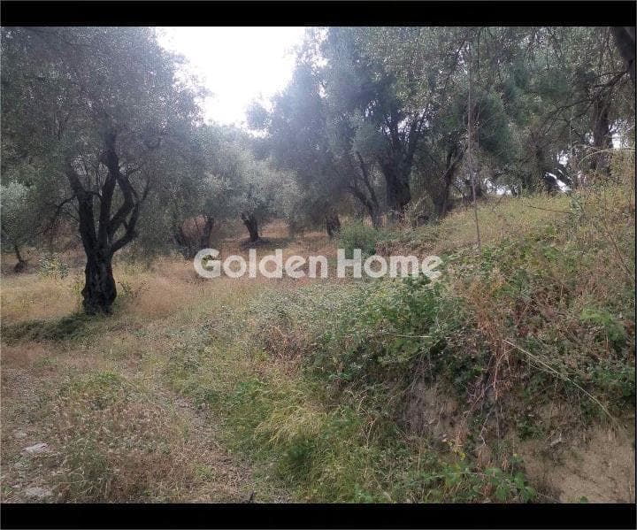 Οικόπεδο στην Κασσιόπη, Κέρκυρα — Φωτογραφία 2 από 12
