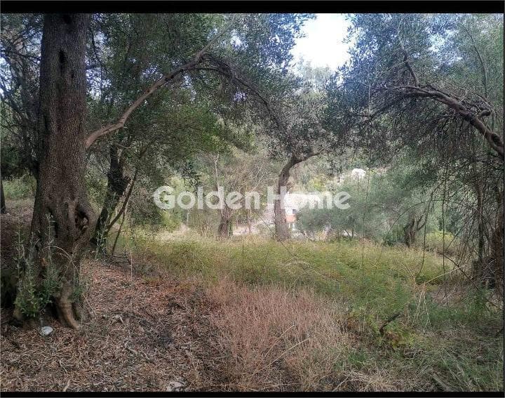 Οικόπεδο στην Κασσιόπη, Κέρκυρα — Φωτογραφία 4 από 12